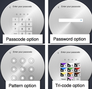 oneSafe set password option screens
